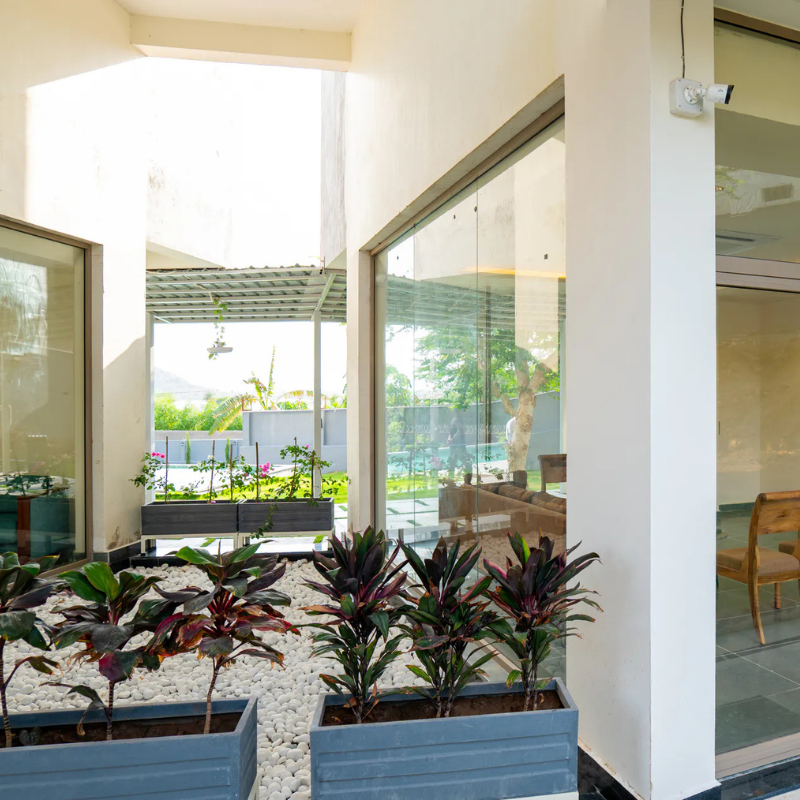Indoor Courtyard at Villa Miraan – Villa Near Lakhawali Lake Modern planters with tropical plants on white pebbles at a villa near Lakhawali Lake.